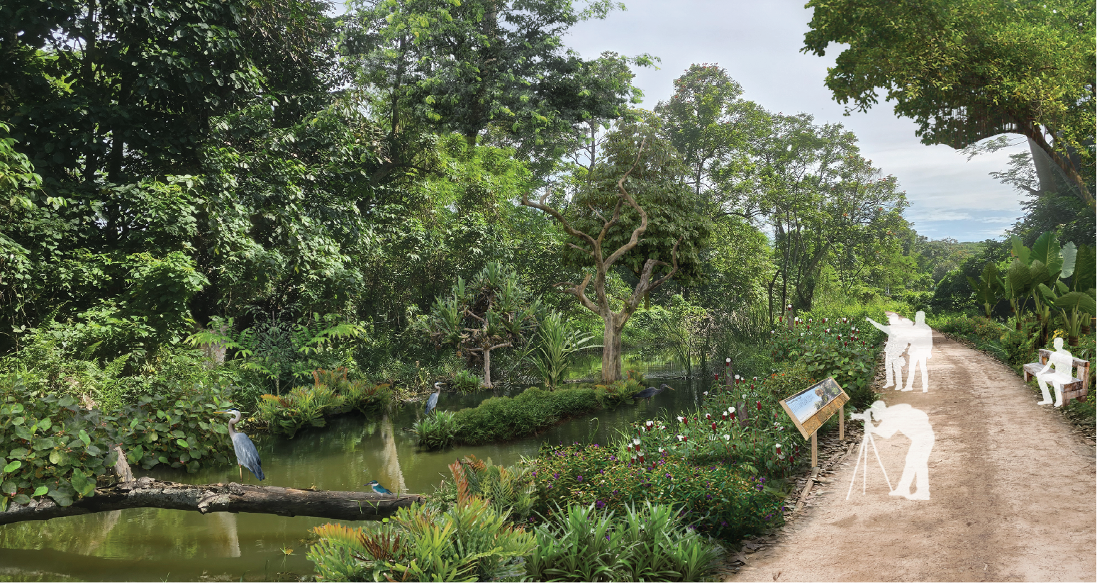 Scenic view of a lush green park with a pond, birds, and walking path.